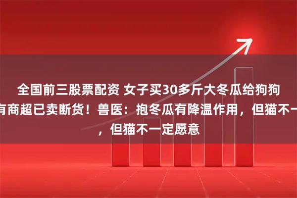 全国前三股票配资 女子买30多斤大冬瓜给狗狗降温，有商超已卖断货！兽医：抱冬瓜有降温作用，但猫不一定愿意