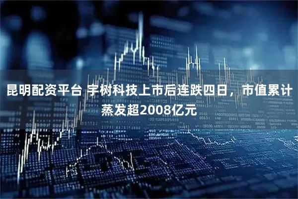 昆明配资平台 宇树科技上市后连跌四日，市值累计蒸发超2008亿元